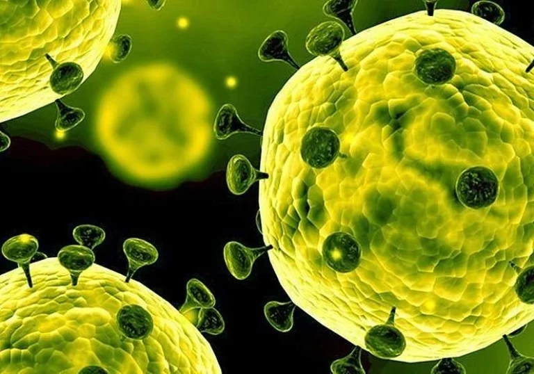 coronavirus newit.ro