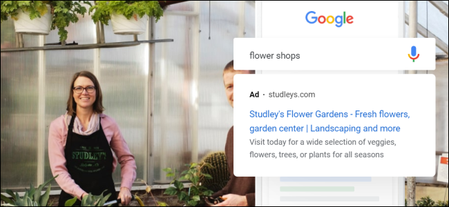 Pagina de pornire Google Ads
