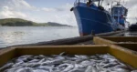 Sclavia si pescuitul excesiv pe mare nu se poate ascunde