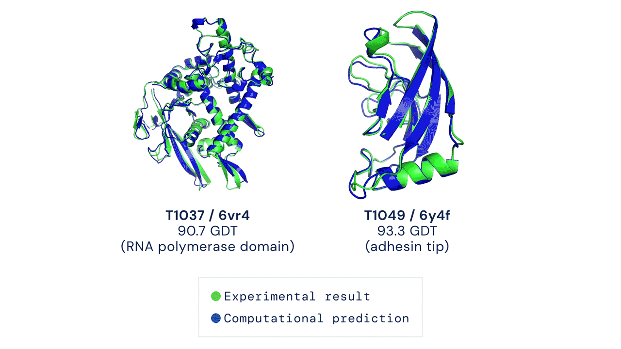 Un gif de două modele rotative de pliuri proteice formate din bucle și linii învârtitoare.  Predicțiile AlphaFold sunt suprapuse pe modele, cu o precizie de 90,7 GDT în stânga și o precizie 93,3 GDT în dreapta.