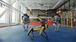 1610036443 Urmariti viitorul nostru Robot Overlords Danseaza ca si cum nu