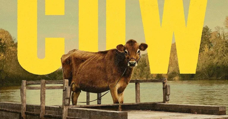 Cele mai bune filme din 2020