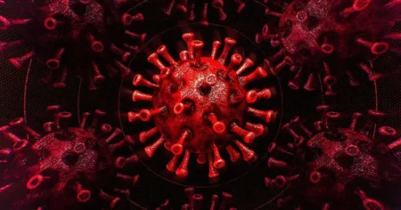 Cititi acest raport New Yorker despre raspunsul esuat la COVID 19