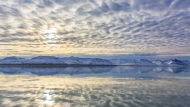 Microplasticele din rufe sunt inundate in Arctica