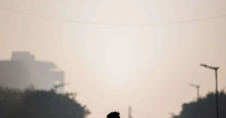 Natura nu vindecă Natura nu vindeca The Verge