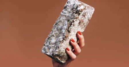 Intr o zi casa ta ar putea fi facuta cu ciuperci