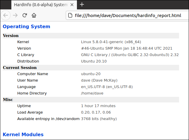 raport hardinfo HTML într-un browser web