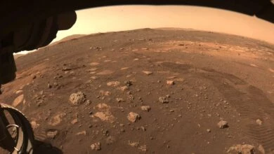 1617050347 Roverul Perseverenta al NASA se deplaseaza pe Marte pentru prima