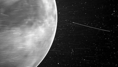 1619673755 Sonda solara surprinde NASA cu o fotografie incredibila a lui 880x461