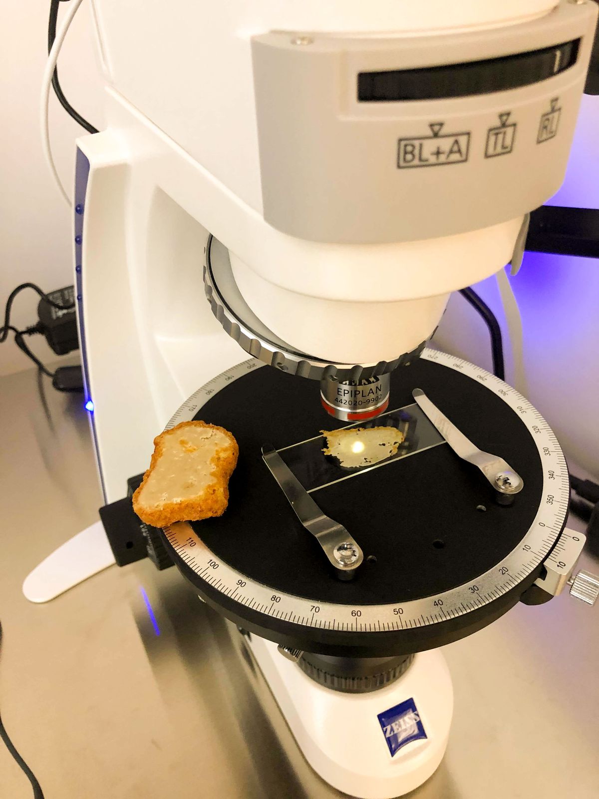 O pepită cu piele stă pe partea unui microscop în timp ce o bucată de pepite se află în lamă.