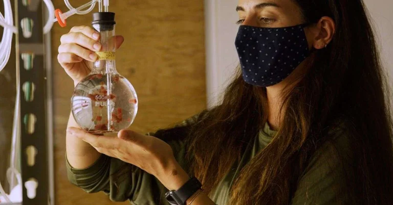 Oamenii de stiinta au creat aceste alge marine pentru a 1200x628