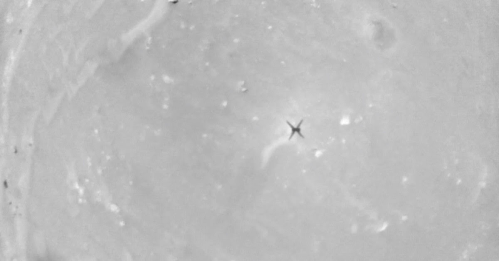 1626314914 Elicopterul Marte al NASA avea un fart de creier in