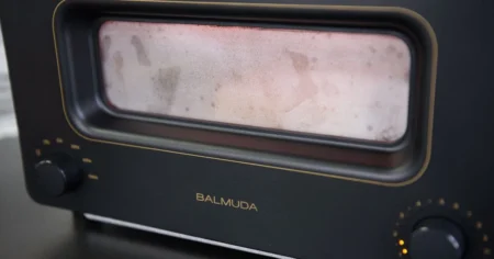 Producatorul de prajitor de paine japonez scump se dedica afacerilor