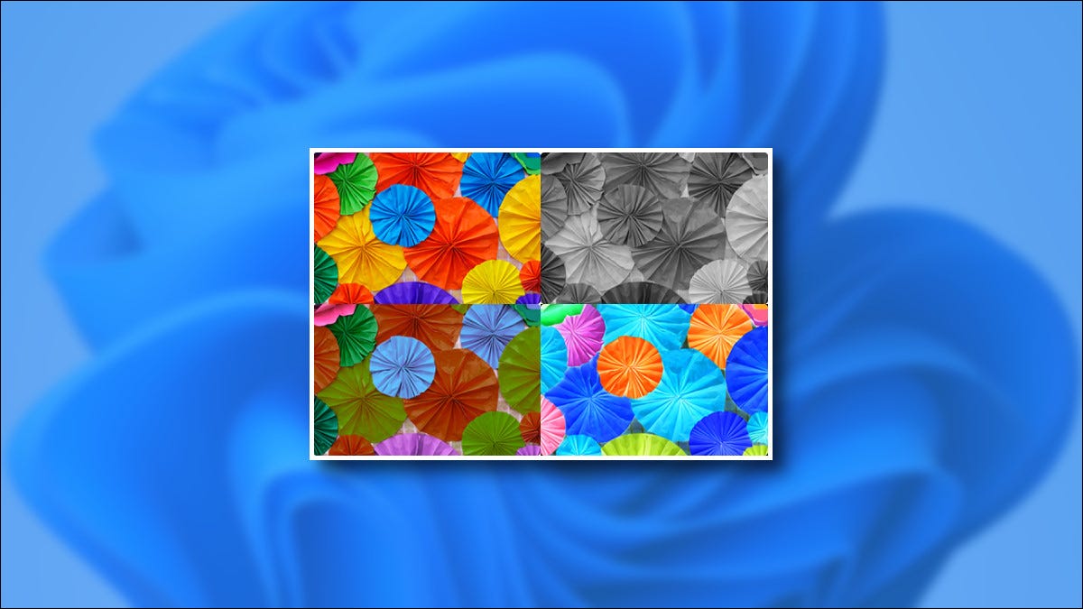 Windows 11 Exemple de imagini cu filtru de culoare