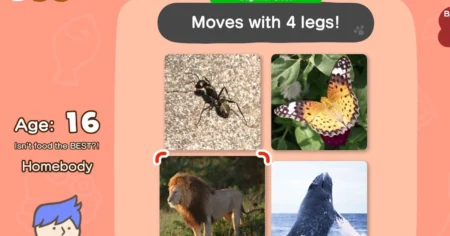 Noua Academie Big Brain de la Nintendo este ca Mario