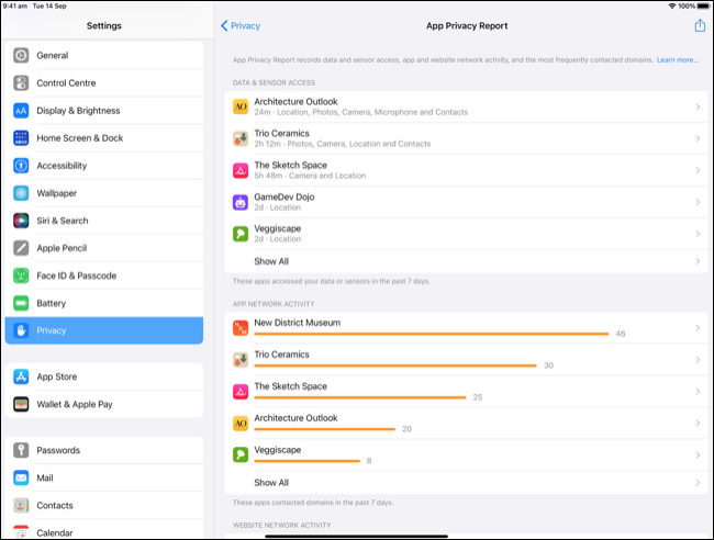 Raport de confidențialitate al aplicației (previzualizare)