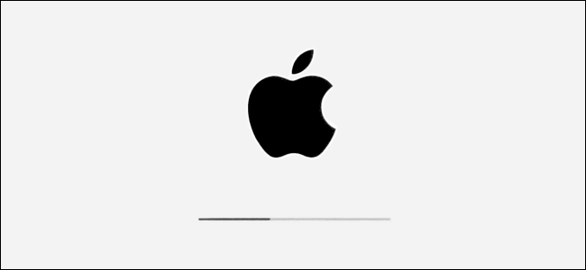 Sigla Apple și bara de progres a instalării în iPadOS.