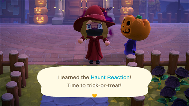 animal care traversează noi orizonturi bântuie reacția