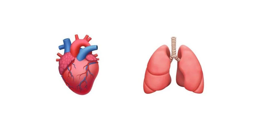 Cautarea unui doctor pentru mai multe emoji de organ