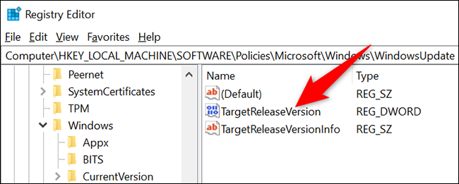Faceți dublu clic pe "TargetReleaseVersion" intrare.