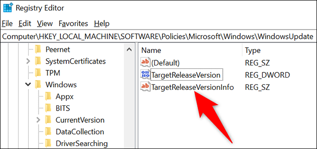 Faceți dublu clic pe "TargetReleaseVersionInfo" intrare.