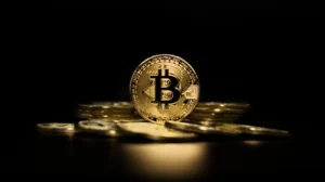 Primele ETF-uri Bitcoin aprobate de autoritățile de reglementare din SUA 1637097120 Puteti cumpara un bilet de film AMC cu Crypto