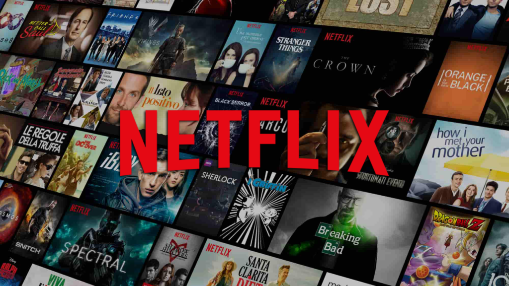 newit netflix profil nou