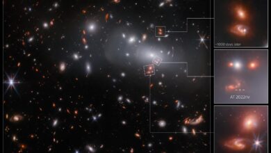 Imaginea uluitoare a telescopului James Webb arata aceeasi galaxie in