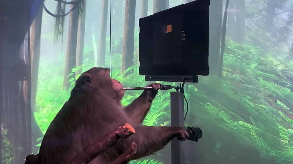 Neuralink de la Elon Musk acuzat ca a transportat in